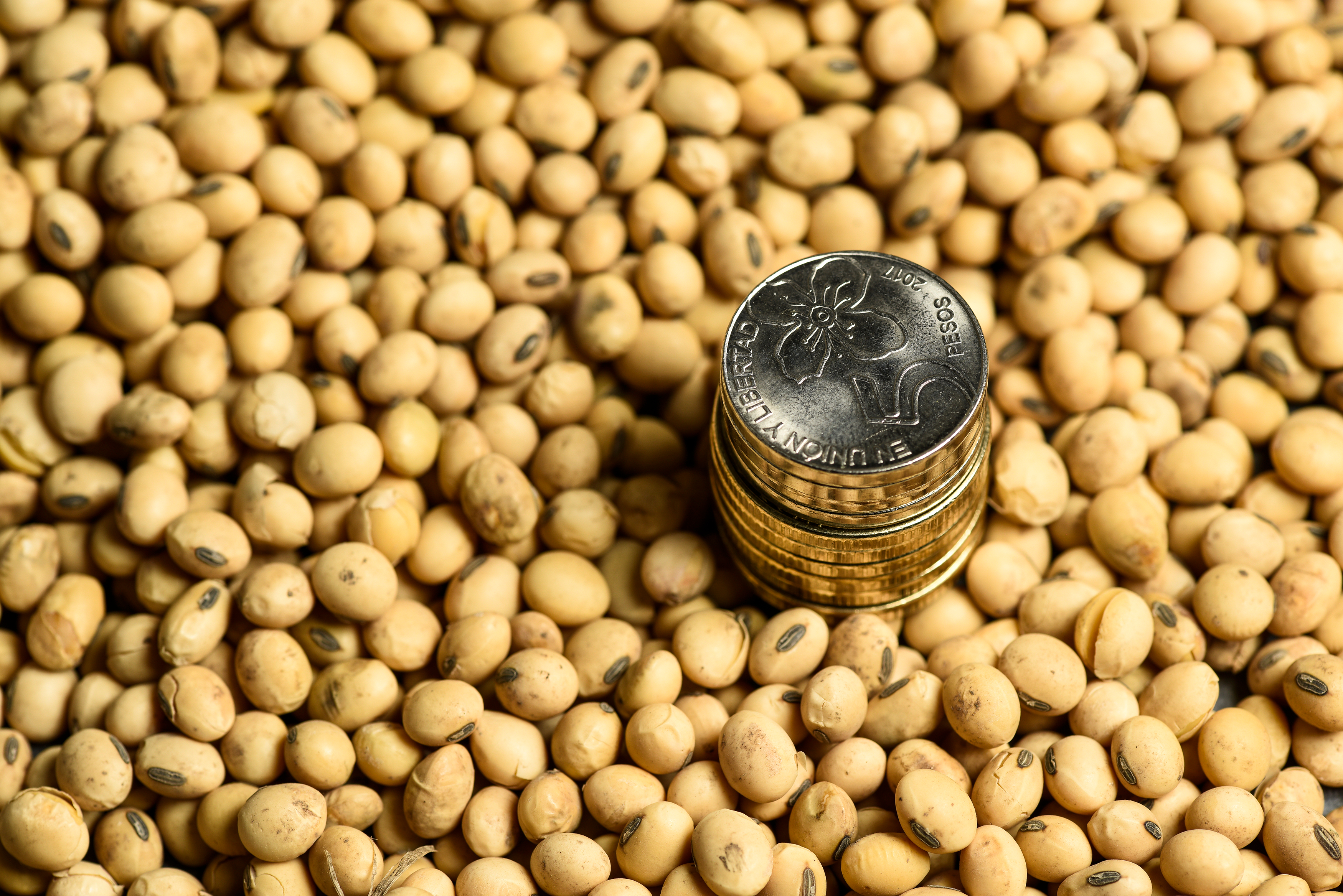 Imagen - Imagen - <p>El verdadero costo de las retenciones: lo que no se ve</p>