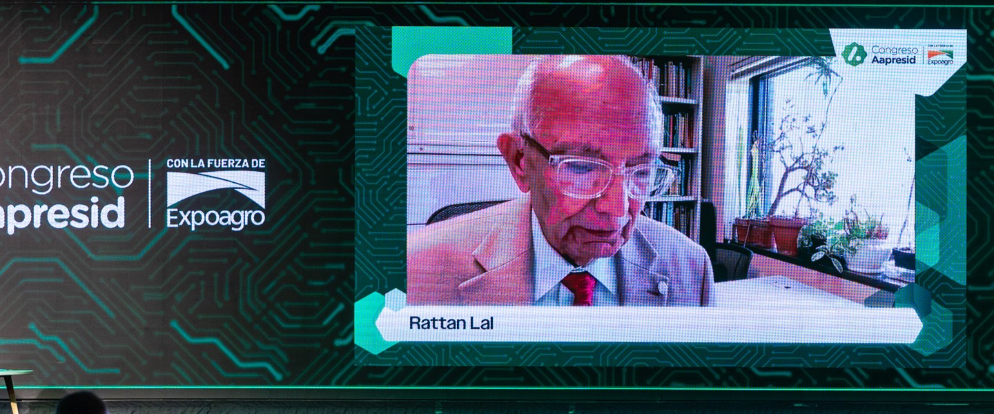 Imagen - Imagen - <p>Un suelo sano es clave para la salud, el clima y el futuro.</p><p><br></p>