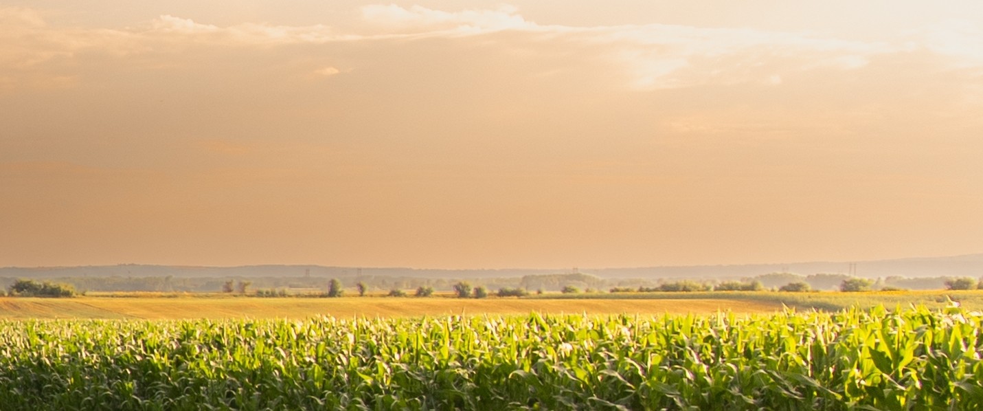 Imagen - Imagen - <p>¿Cómo empezó la campaña 25/26 y qué se espera para los próximos meses?</p>