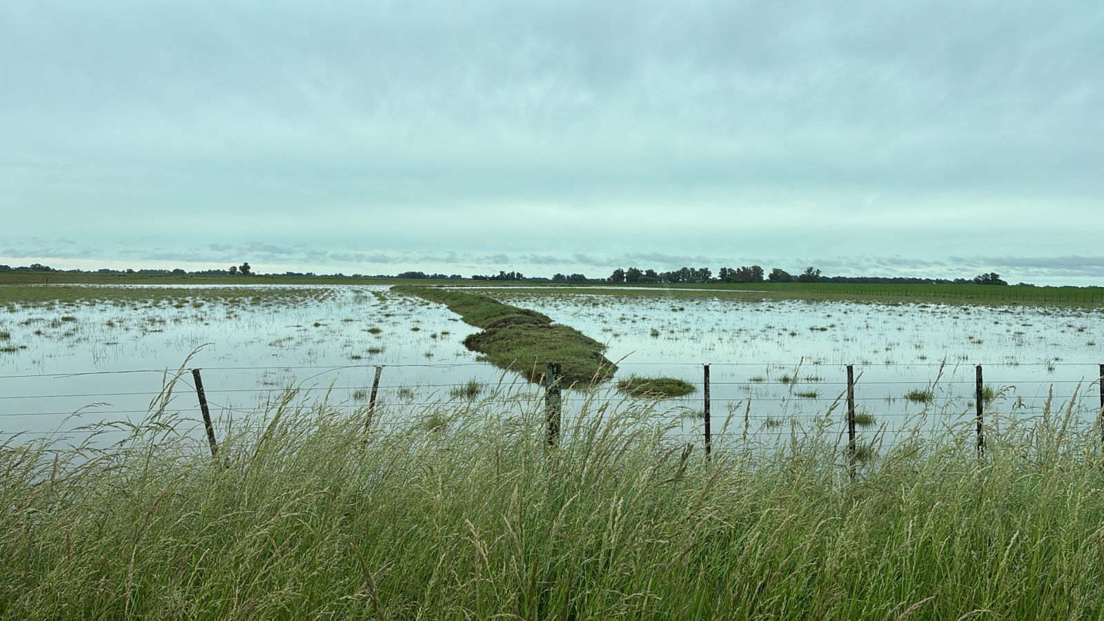 Imagen - Imagen - <p>Inundaciones en Buenos Aires: suelos saturados, caminos intransitables</p>