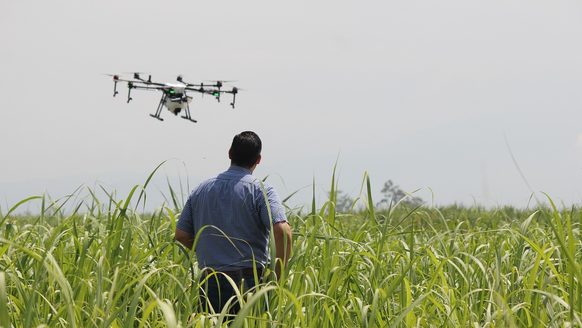 Imagen - Imagen - <p>¿Puede la modernización Agtech ayudar a los desafíos del agro?</p>