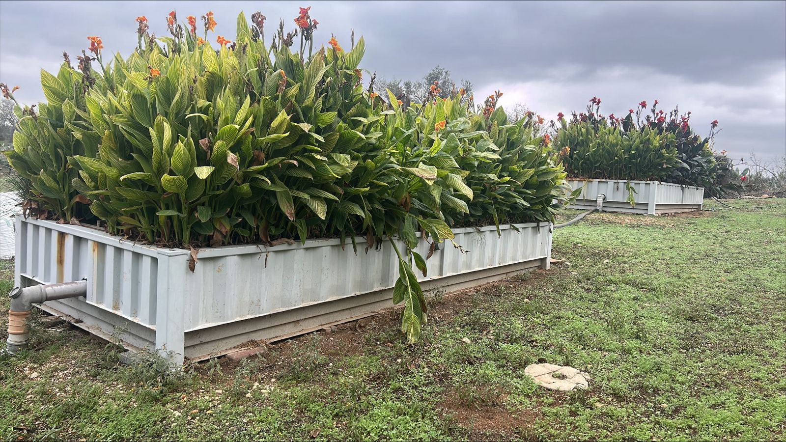 Imagen - Imagen - <p>Producir donde falta todo</p>