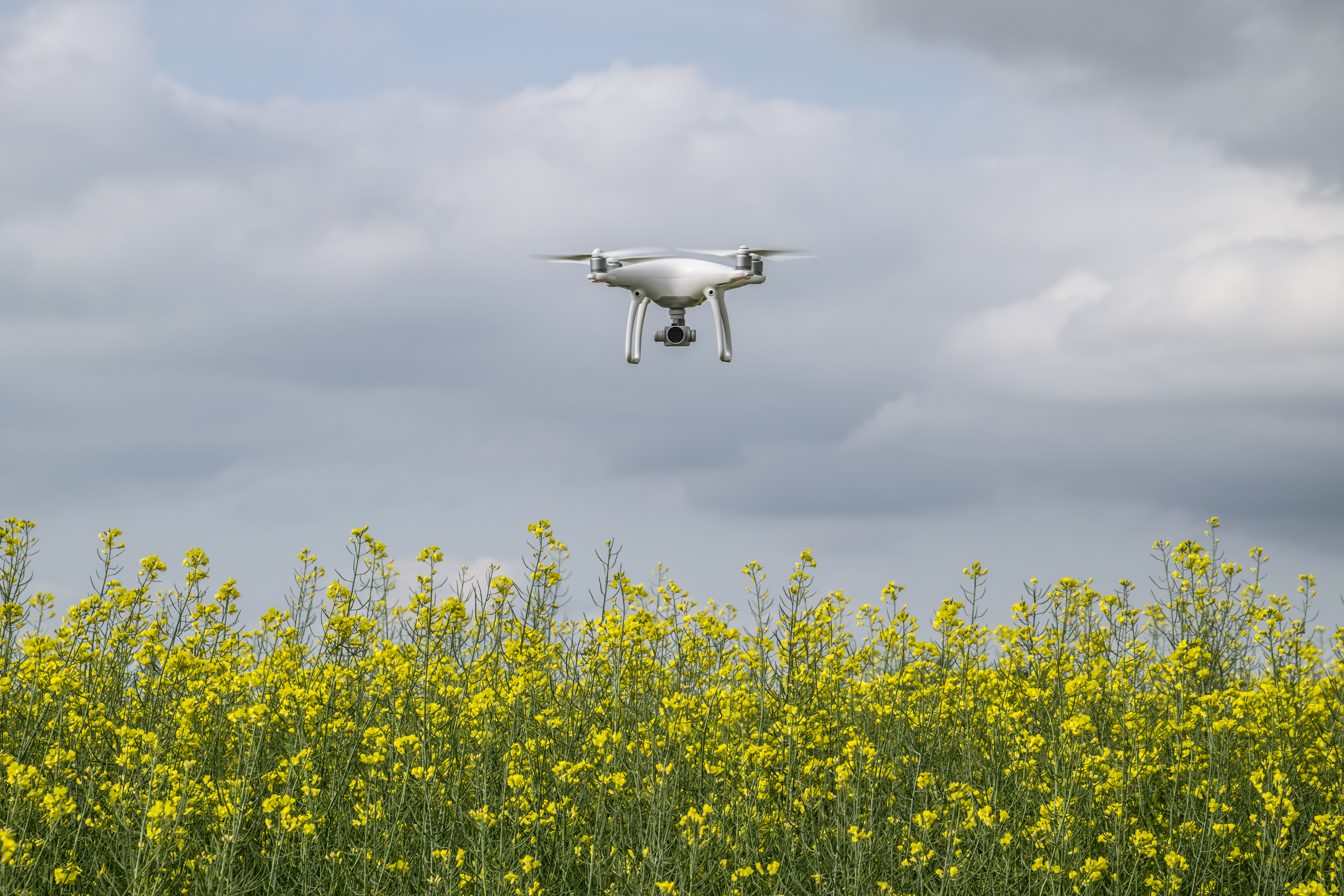 Imagen - Imagen - <p>La tecnología LiDAR está cambiando el juego y revoluciona el agro</p>