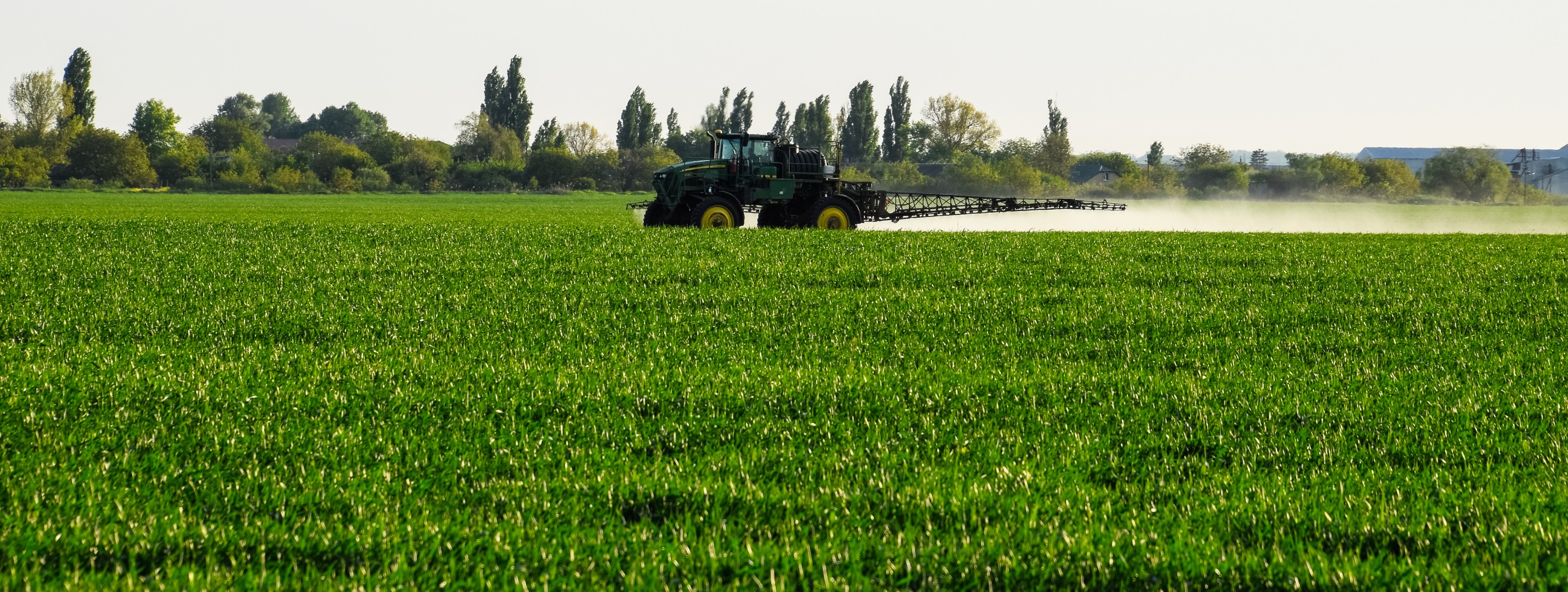 Imagen - Imagen - <p>Nutrición estratégica para asegurar el rinde en años de variabilidad</p>