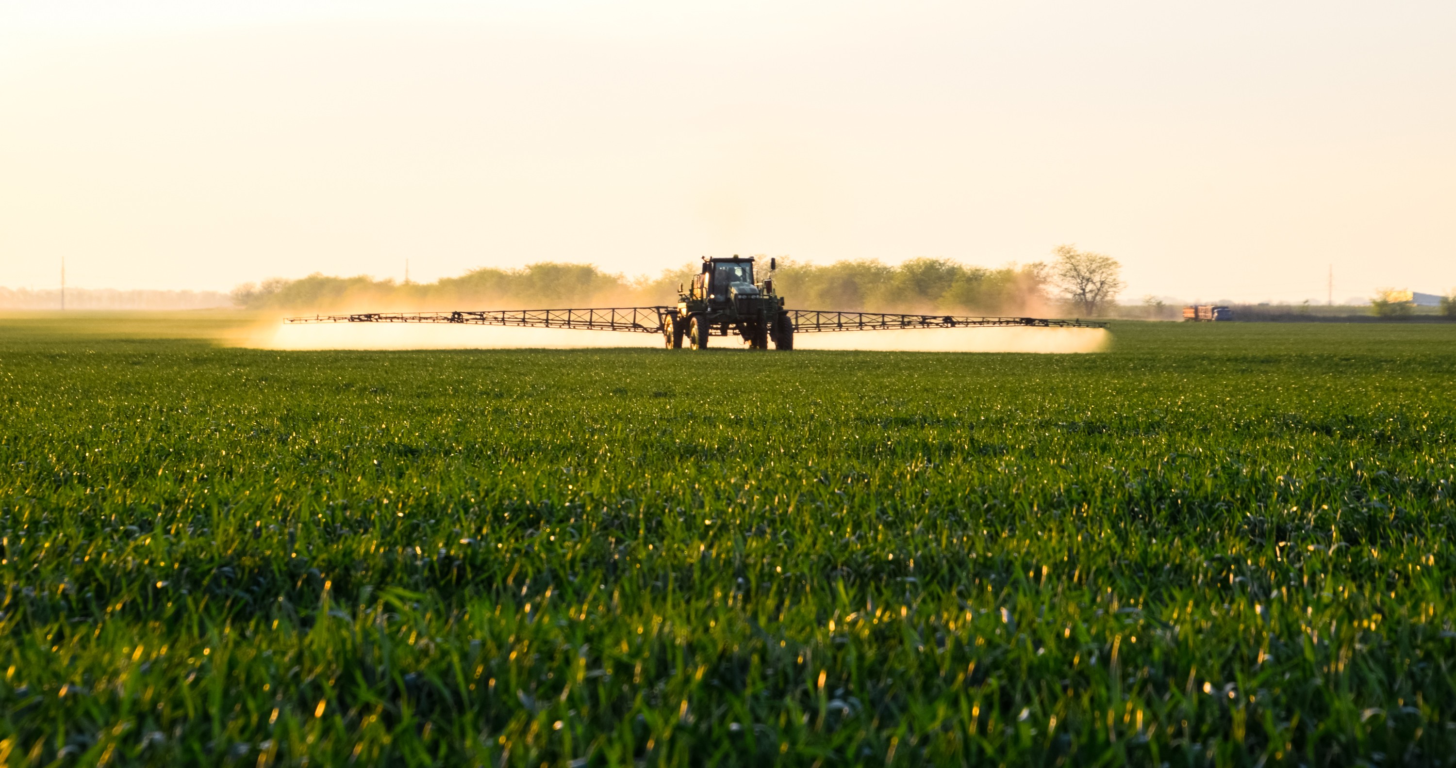 Imagen - Imagen - <p>Sanidad, nutrición y suelo para una producción sustentable</p>
