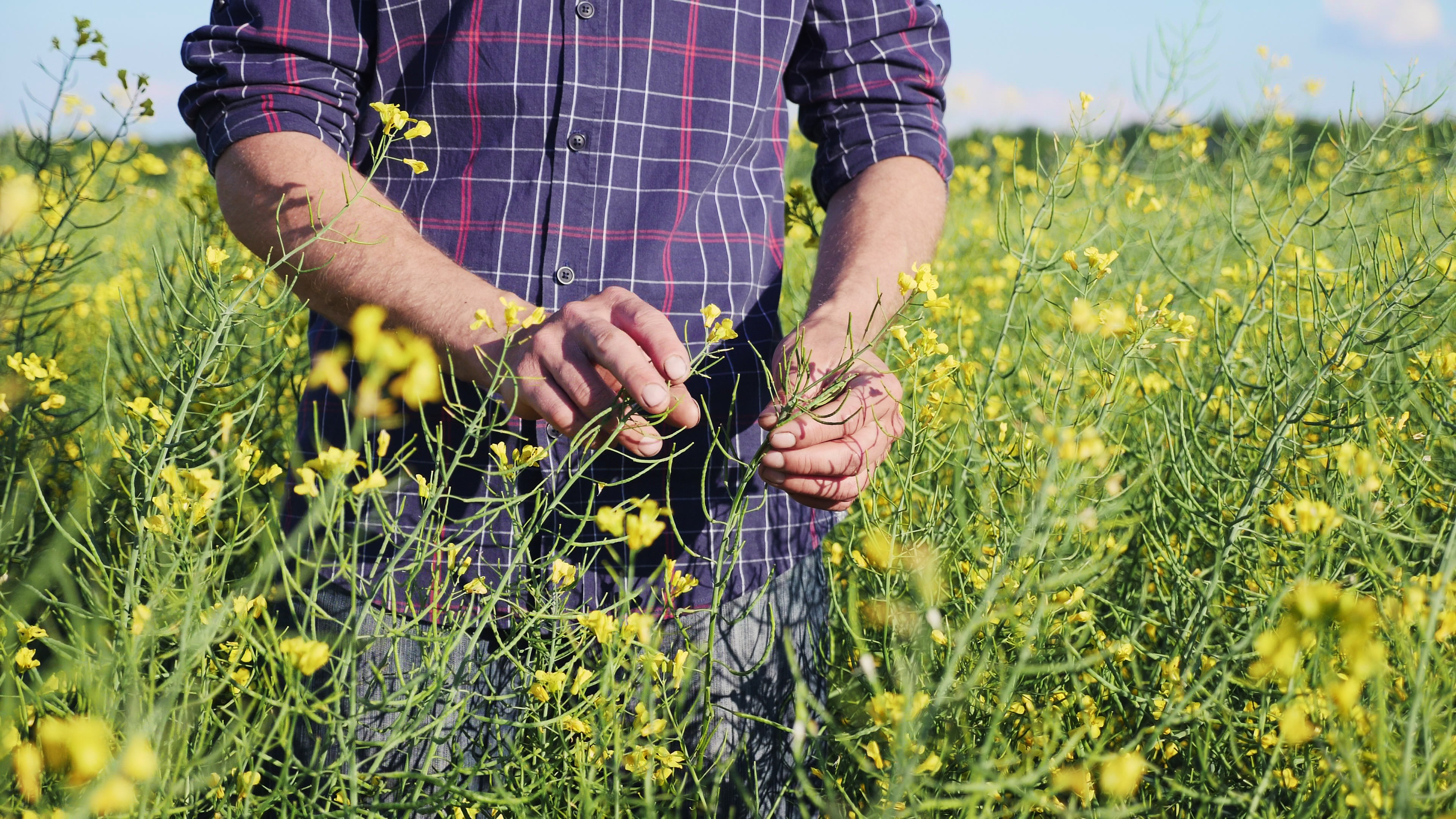 Imagen - Imagen - <p>Buenas prácticas agropecuarias: cuando producir y conservar se unen</p>