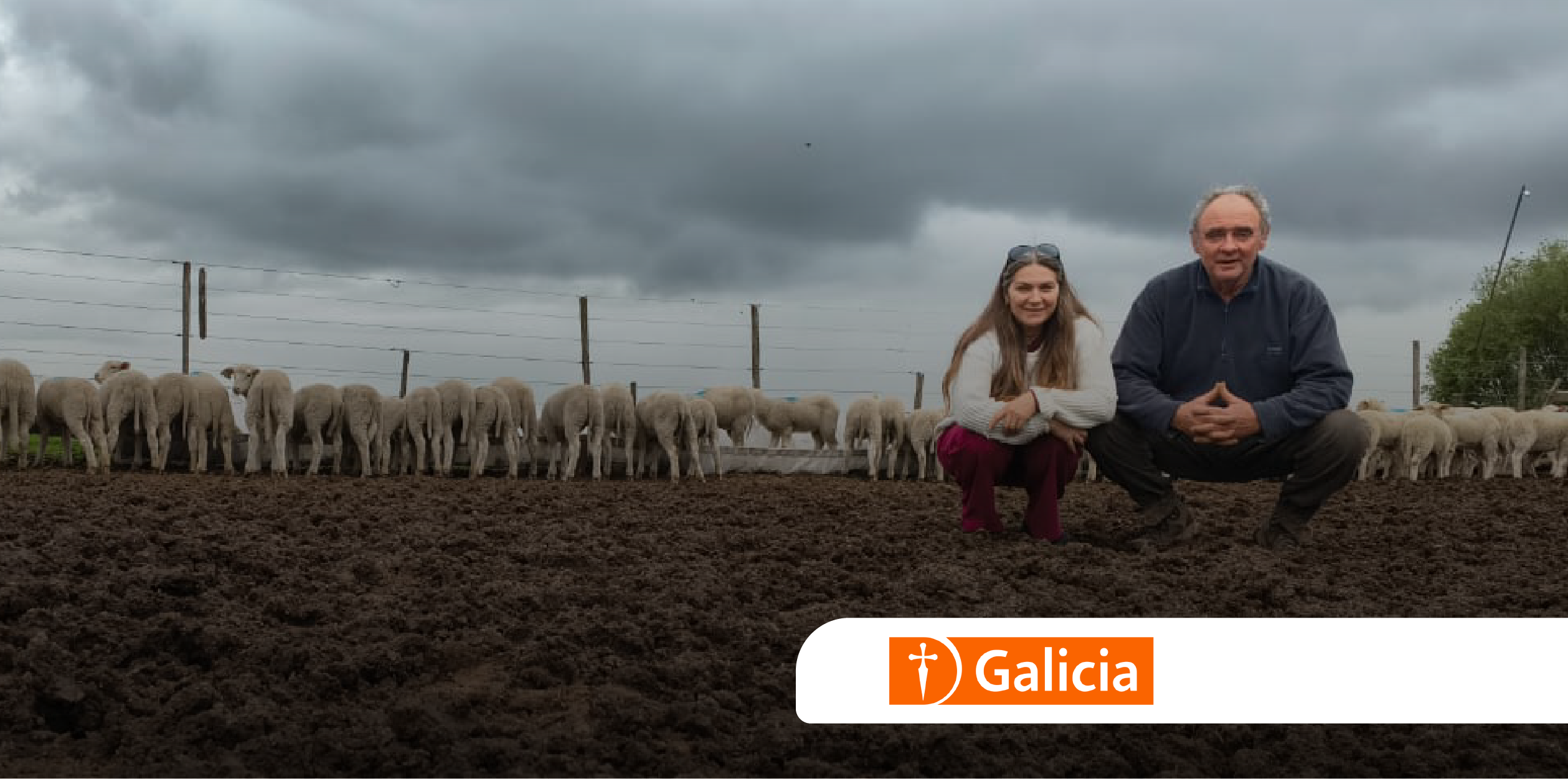 Imagen - Imagen - <p>Un socio que diversifica: Bovinos, ovinos, pollos, agricultura y más</p>