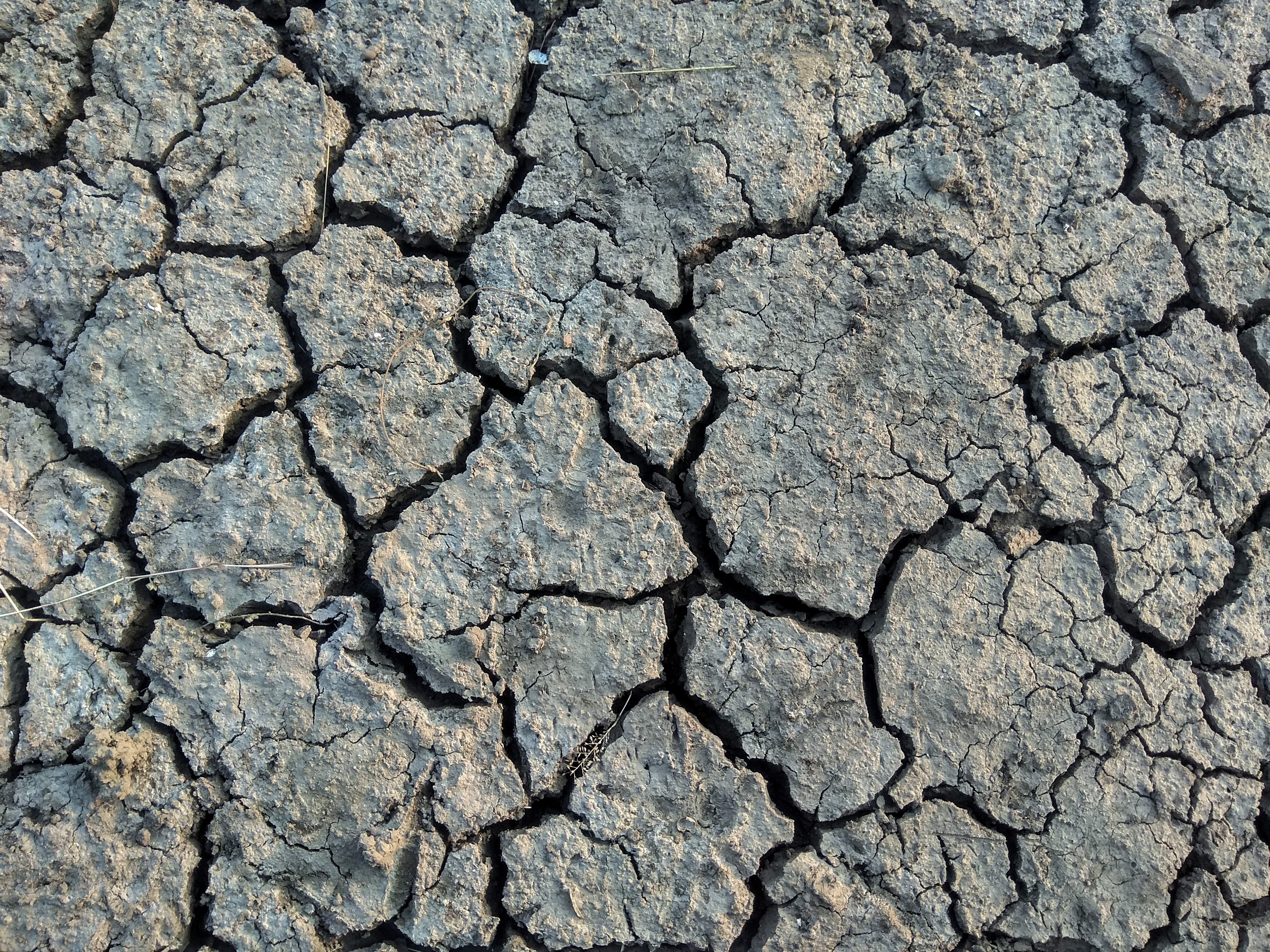 El resultado negativo: suelos degradados e imposibilidad de que la agricultura regenerativa escale