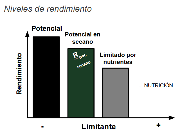  El concepto de brecha: cuánto nos alejamos del potencial real de un ambiente por limitantes nutricionales o bióticas.