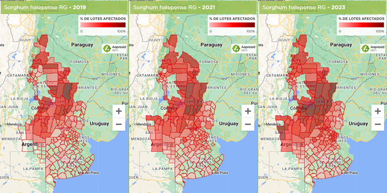 Figura 1. Porcentaje de lotes afectados por sorgo de Alepo resistente a glifosato en Argentina. Fuente: REM.