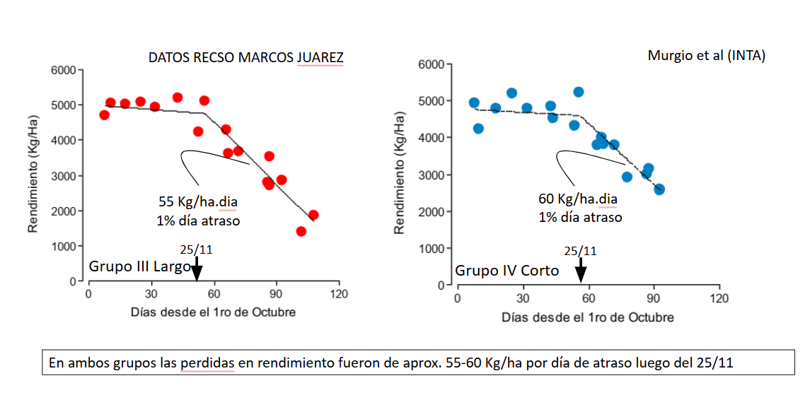 Figura 2. Importancia de la correcta elección de la fecha de siembra. Fuente: D. Miralles, Seminario ACSOJA 2025.