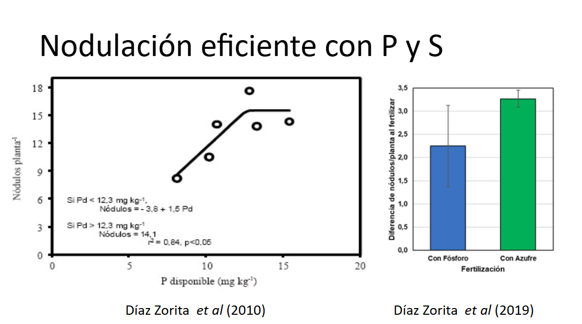 Figura 4. Efecto de la fertilización con fósforo y azufre en la nodulación de soja. Fuente: G. Espósito, Seminario ACSOJA 2025.