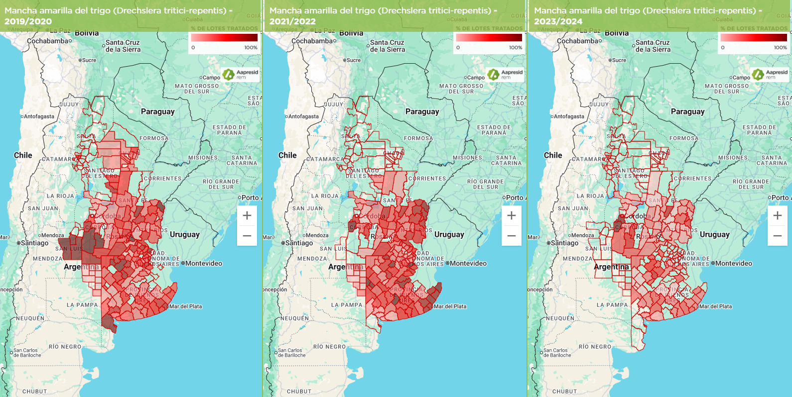Figura 2. Superficie tratada para el control de mancha amarilla en las campañas 19/20, 21/22 y 23/24. Fuente: Mapas REM.