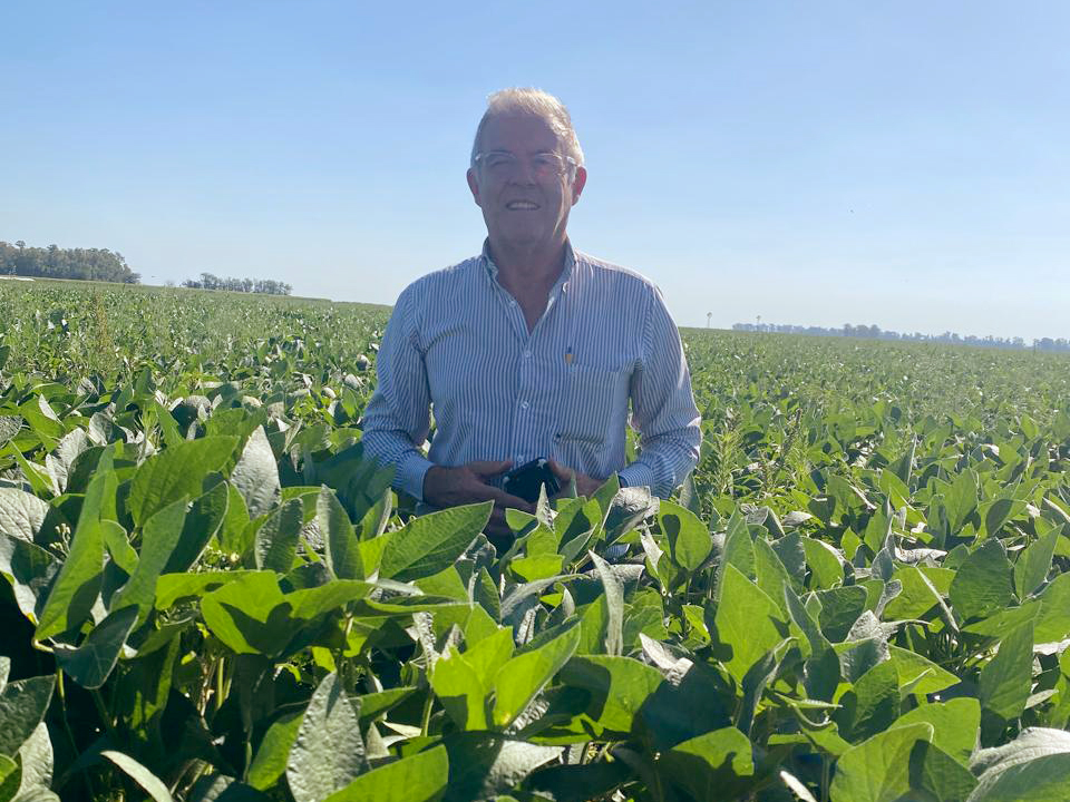 Jorge Muriel de la Regional Aapresid Lincoln apunta a no improvisar y a esquivar las bajas temperaturas en siembras tempranas.