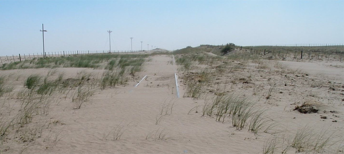 Bahía Blanca, 2008: la sequía provocó erosión y pérdida de suelo irreversible.