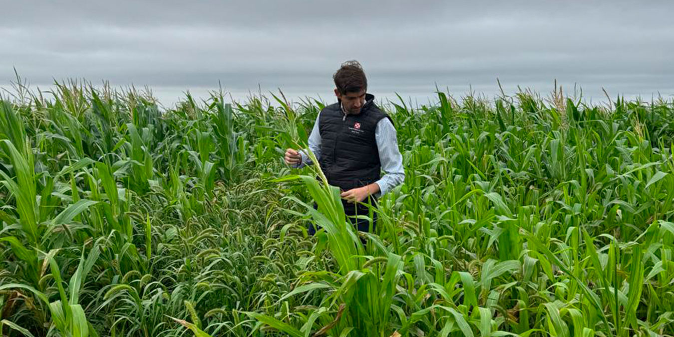 En esta primera etapa, el acuerdo involucra 1.500 hectáreas en la provincia de Córdoba y ya se avanzó con el diagnóstico de prácticas adoptadas, nivel de agricultura regenerativa y mediciones iniciales.