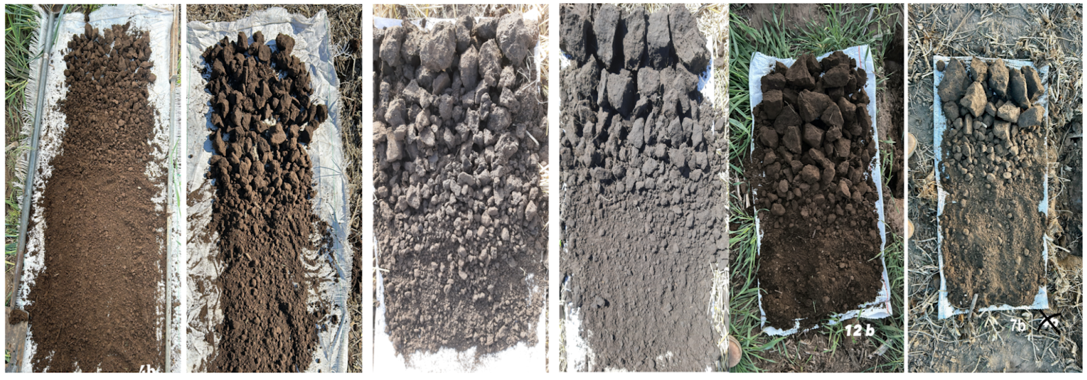 Figura 3. Evaluación visual (EV) de estructura. La distribución homogénea de agregados (muestras 2 y 3) es señal de que el suelo está bien. El predominio de agregados pequeños (muestra 1) indica menor macroporosidad y tendencia a compactarse.