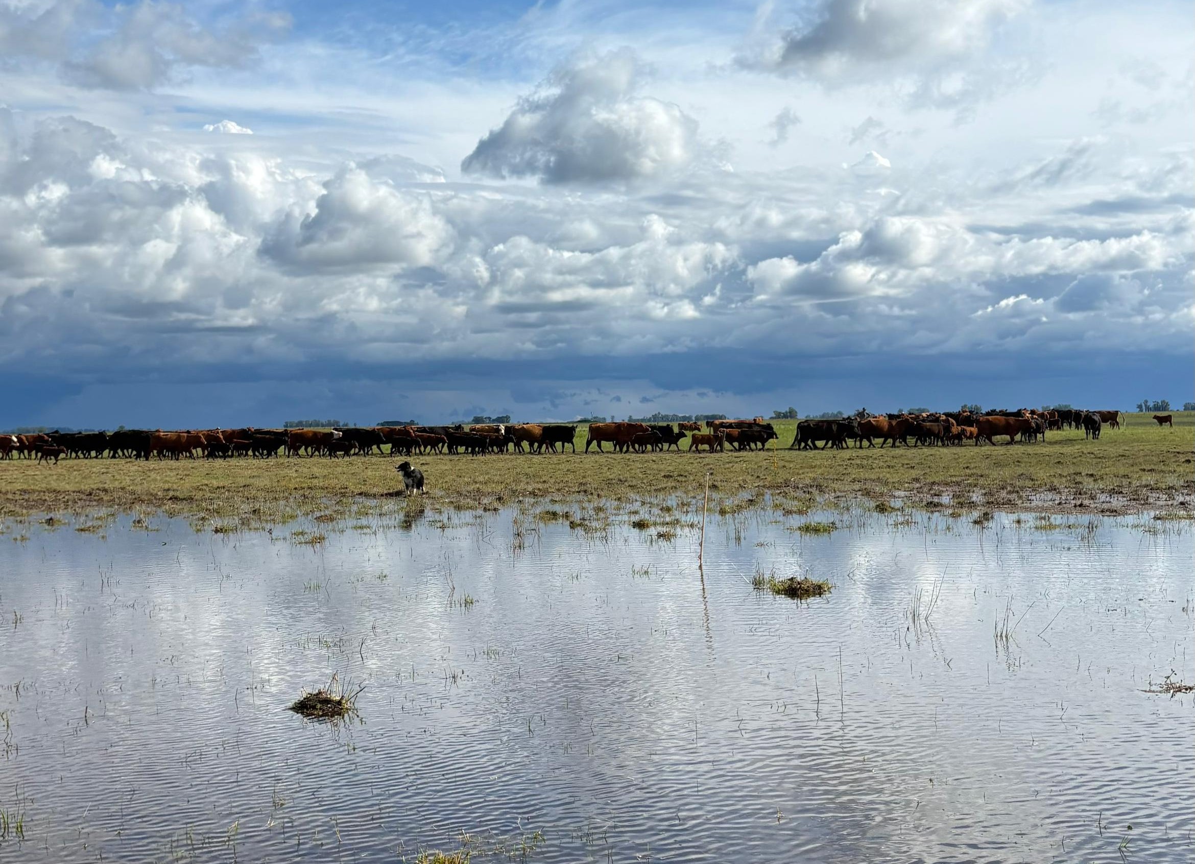 Hacienda buscando zonas firmes