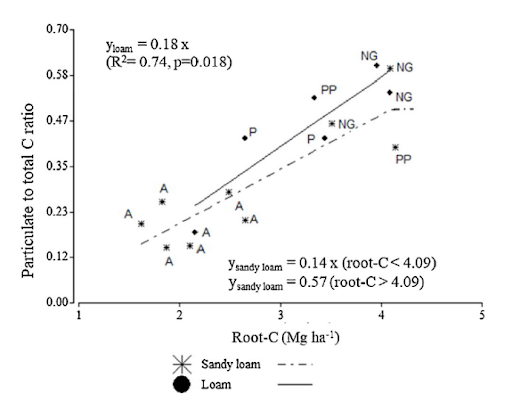 Figura 2. Relación entre carbono particulado y carbono total de la materia orgánica y carbono de raíces para los tratamientos de agricultura continua (A), pastura perenne (P), pastura permanente y pastizal natural (NG), tanto para suelos franco (círculo) y arenoso franco (estrella), según Frasier, et al. (2019).