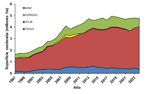 Fig. 5. Evolución de la superficie sembrada de los principales cultivos de granos en Paraguay. Elaboración propia a partir de datos de FAOSTAT. 