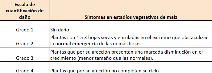 Tabla 1. Escala de cuantificación de daño de Dichelops sp. en implantación de maíz en función de la sintomatología observada. Fernando Flores (INTA Marcos Juárez).