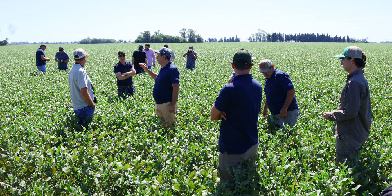 Foto archivo: Gira técnica 2025, recorrida por campos en Pergamino, Provincia de Buenos Aires.