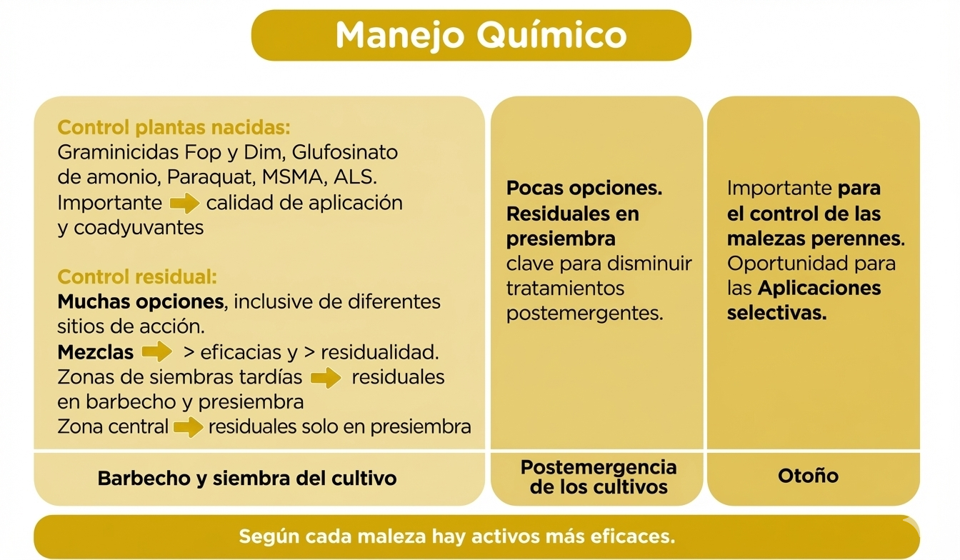 Figura 3. Esquemas generales de manejo de gramíneas estivales en barbecho y siembra del cultivo, en postemergencia de los cultivos y en otoño.