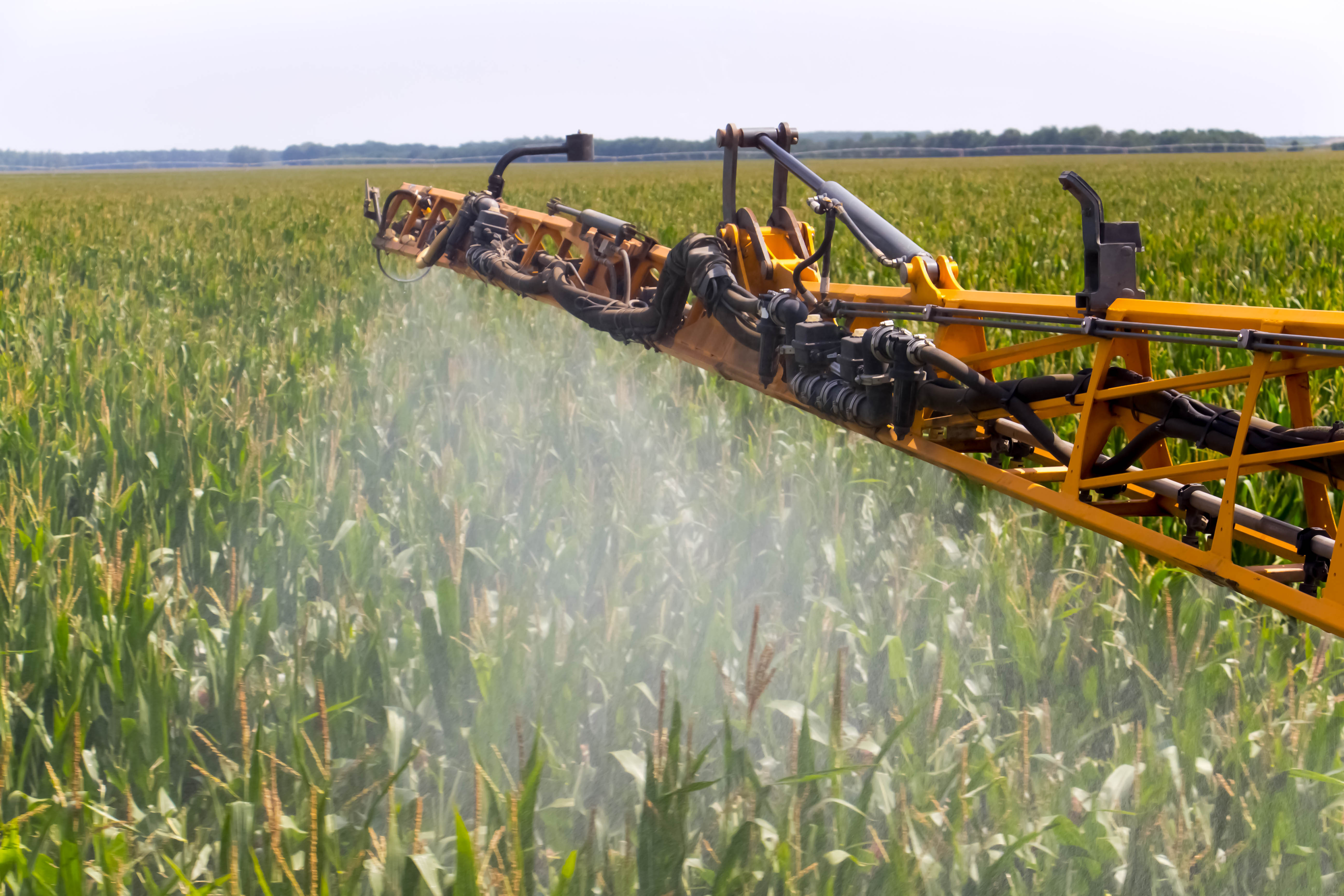  La presencia de limo, arcilla y materia orgánica, pueden obstruir los filtros y las pastillas de las máquinas pulverizadoras, afectando la uniformidad de la aplicación.