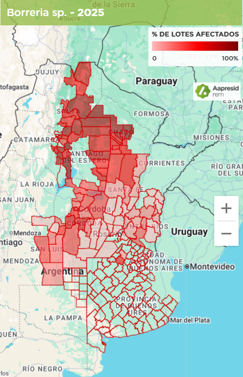 Figura 1: Mapa de porcentaje de lotes afectados. REM, 2025
