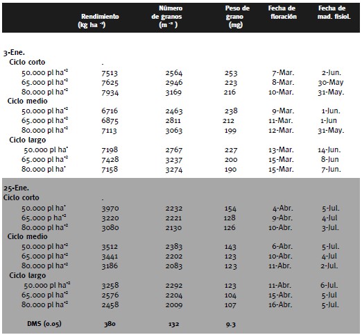 Tabla 1. Rendimiento en grano (14% humedad) y sus componentes, fechas de floración y madurez fisiológica de cultivos de maíz de segunda -tardíos, sembrados en dos fechas en Pergamino con tres densidades e híbridos de ciclo corto, medio y largo. Cirilo, 2021.