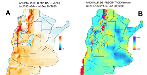 Figura 1. Anomalías Julio 2025–Enero 2026 respecto del promedio Julio–Enero 1990–2020: A) anomalía de temperatura (°C), donde los tonos rojos indican valores por encima de lo normal y los azules por debajo; B) anomalía de precipitación (mm), donde los tonos azules/violetas indican excesos y los rojos déficits (Fuente: Di Bella 2026).