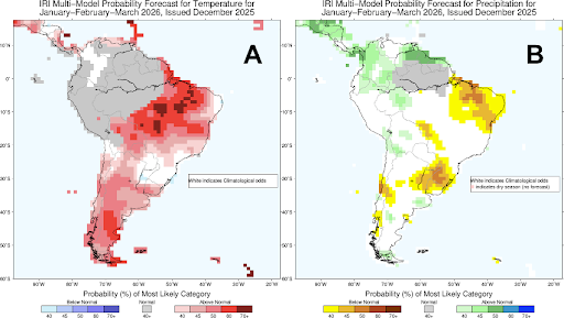 Figura 2. Pronóstico multi-modelo IRI para enero–febrero–marzo 2026 (emitido en diciembre 2025): A) temperatura y B) precipitación. En A, los tonos azules indican mayor probabilidad de temperaturas por debajo de lo normal y los rojos por encima de lo normal. En B, los tonos marrones indican mayor probabilidad de precipitaciones por debajo de lo normal y los verdes por encima de lo normal; el blanco corresponde a probabilidades climatológicas (sin señal clara). FUENTE: IRI 2026.