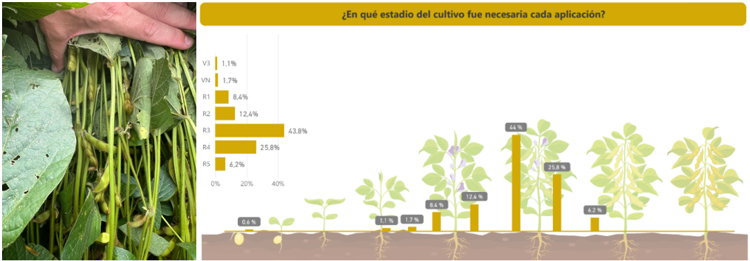 Figura 1. Encuesta REM a socios Aapresid 2025. Uso de fungicidas y estadio fenológico en el que se realizan las aplicaciones en soja. Fuente: REM Aapresid.