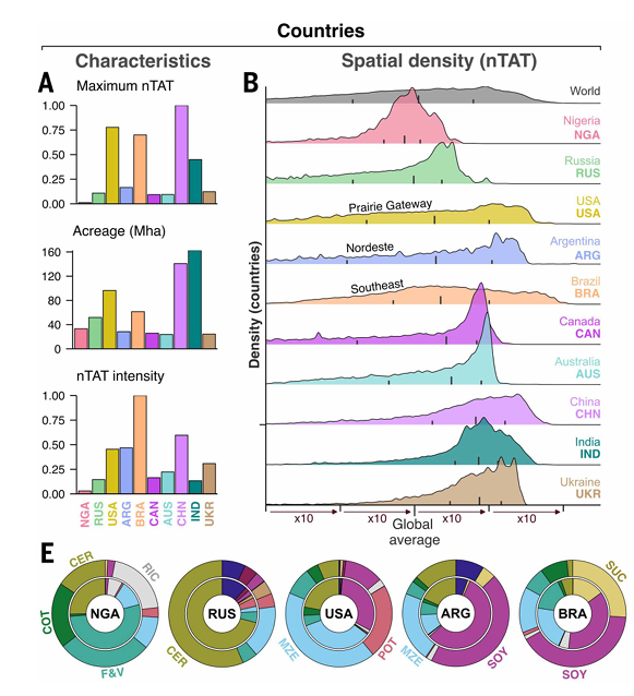 Figura 1. (A) Intensidad máxima de toxicidad aplicada en los 10 países con mayor superficie agrícola. (B) Cómo se distribuye espacialmente dentro de esos países.(E) Peso de cada cultivo en la toxicidad total nacional y en la superficie sembrada de los países con mayor TAT. En todos los gráficos, Argentina aparece en celeste. Fuente: Wolfram et al. (2026).