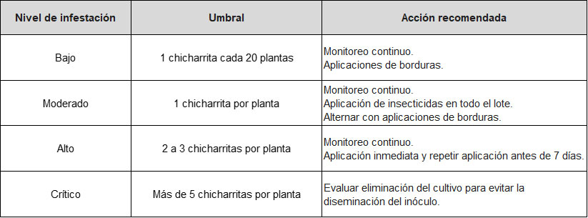 Tabla 1. Niveles de infestación en función de la cantidad de adultos de D. maidis por planta y acciones recomendadas para el cultivo de maíz durante las etapas vegetativas. Fuente: EEAOC.