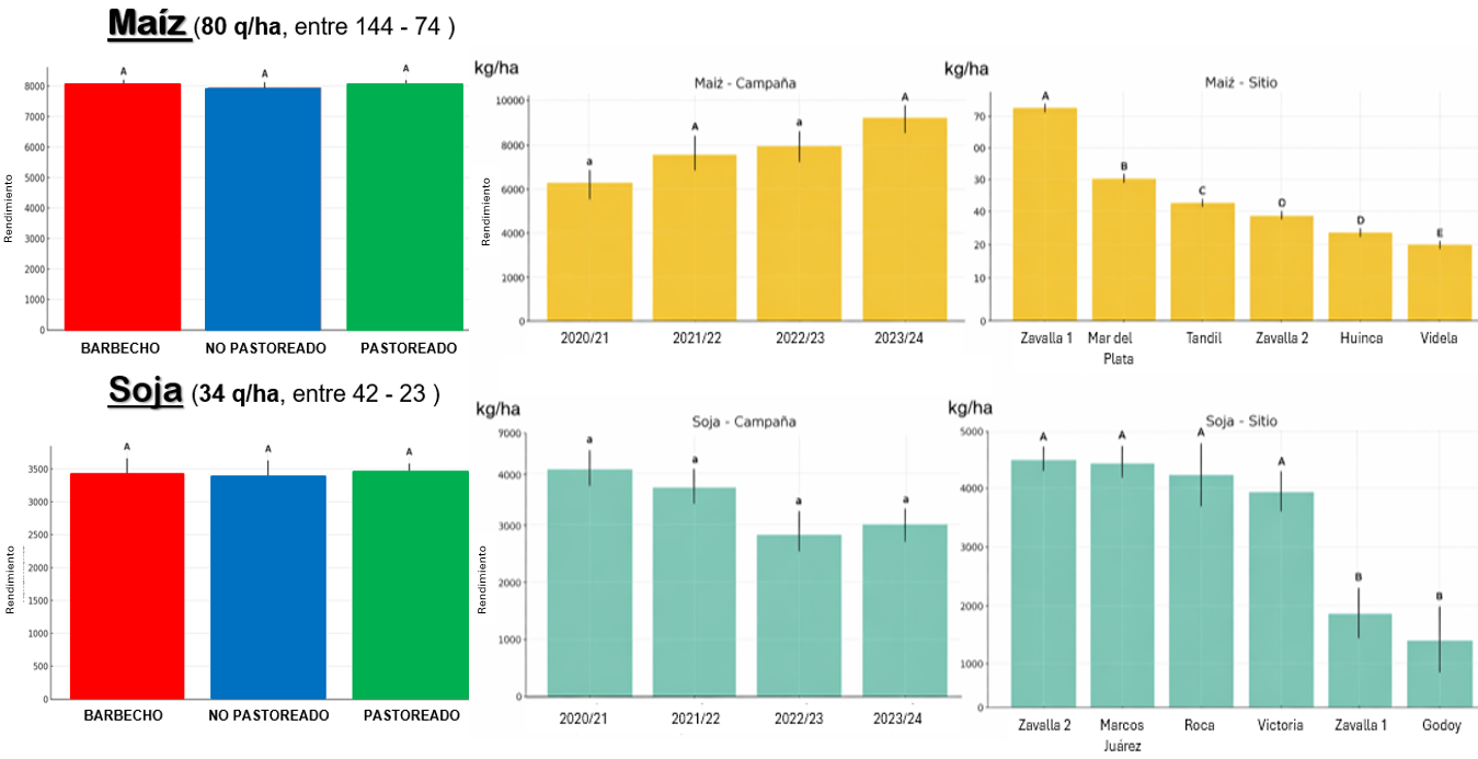 Figura 2. Rendimiento del cultivo sucesor (maíz y soja) según tratamiento, campaña y sitio. No se detectaron diferencias significativas entre barbecho, cultivos de servicio pastoreados y no pastoreados.