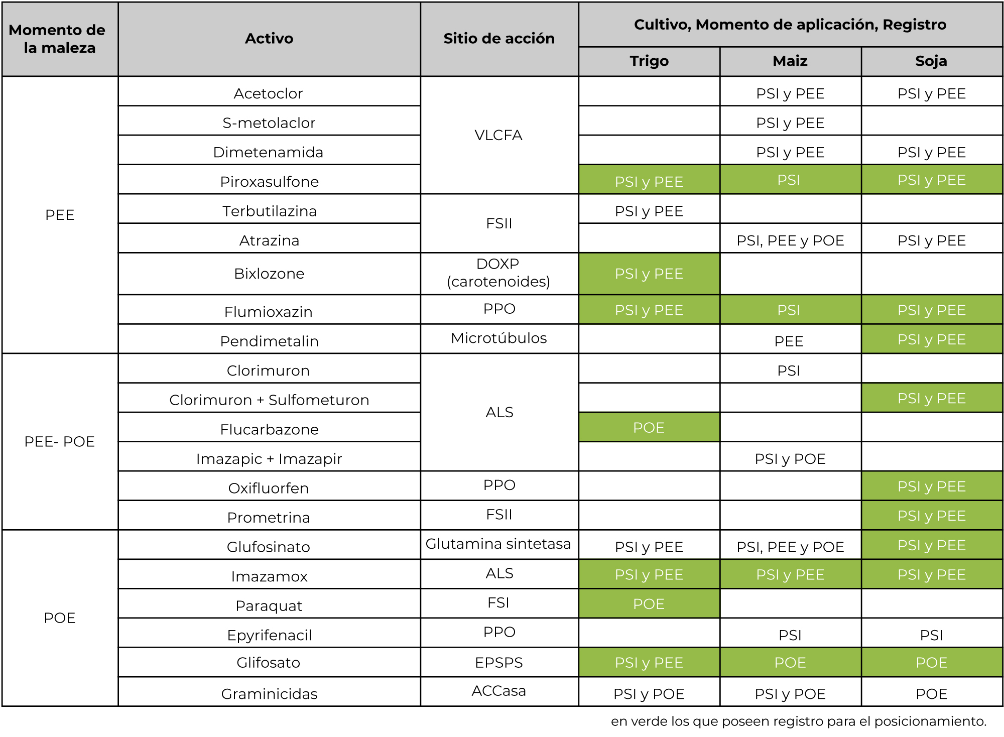 Tabla 1. Herbicidas para el manejo de raigrás (Lolium spp.) según activo, sitio de acción, momento de control de la maleza, tipo del cultivo y momento de aplicación. Fuente: REM-Aapresid y Gabriel Picapietra (INTA Pergamino). Ver alternativas comerciales al final de la nota*.