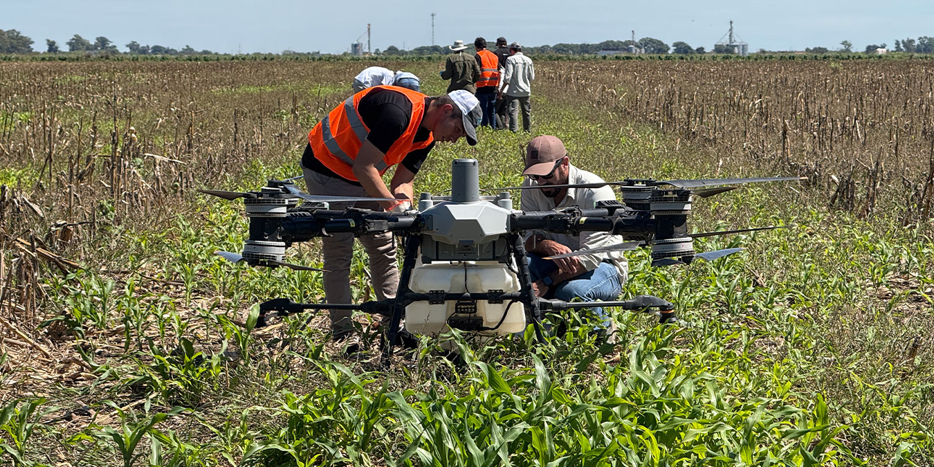 La jornada incluyó demostraciones con drones para control de chicharrita y cogollero.