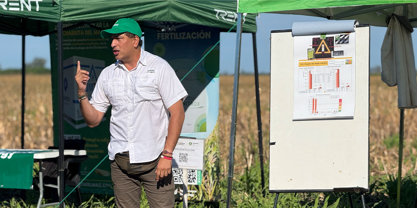 Alejandro Vera (EEAOC) habló de cambios en la susceptibilidad de cogollero a Vip3A y estrategias de manejo