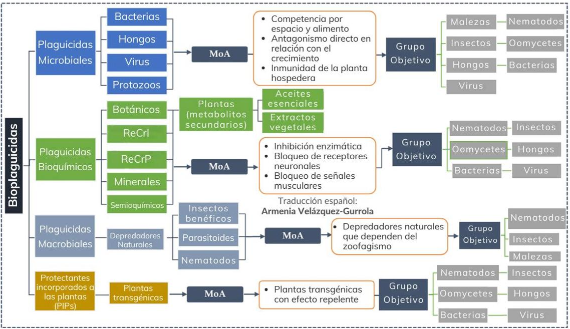 Figura 1. Esquema de las principales categorías de bioplaguicidas, su interacción con distintos tipos de plagas y sus mecanismos de acción (MoA). Fuente: Daraban et al. (2023).