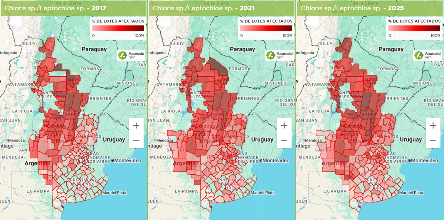 Figura 1. % de lotes afectados por malezas del género Chloris sp./Leptochlora sp. en el territorio argentino. Fuente REM