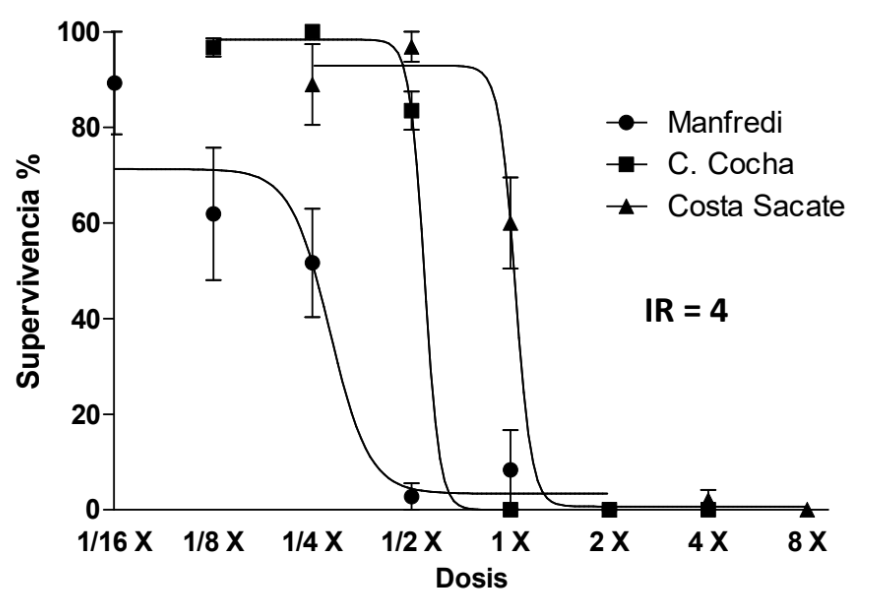 Figura 2. Supervivencia de C. virgata a dosis crecientes de glifosato. Las mismas están expresadas como fracción o múltiplo de la dosis de marbete 1 X = 756 gramos de equivalente ácido/ha. 