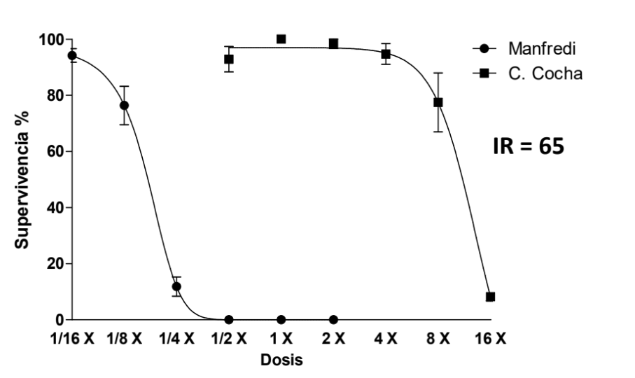 Figura 3. Supervivencia de C. virgata a dosis crecientes de haloxifop R-metil. Las mismas están expresadas como fracción o múltiplo de la dosis de marbete 1 X = 54 gramos de ingrediente activo/ ha. 