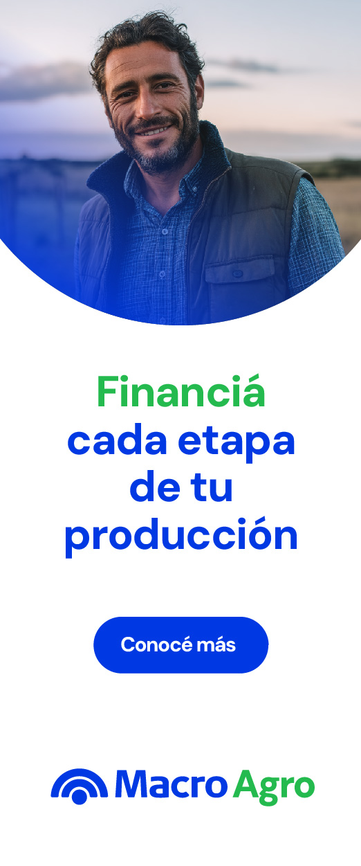 Banco Macro