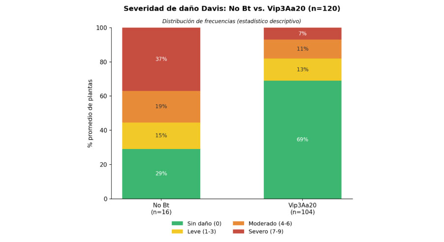 Figura 2. Distribución de las categorías de severidad del daño foliar (escala de Davis) en híbridos Vip3Aa20 y no Bt. Fuente: REM-Aapresid.