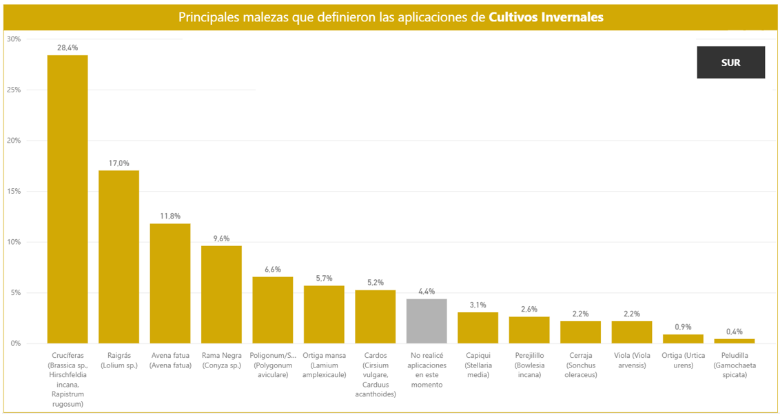 Figura 3. Principales malezas que definieron aplicaciones de herbicidas en cultivos invernales en el Nodo Sur en 2025. Fuente: REM-Aapresid.