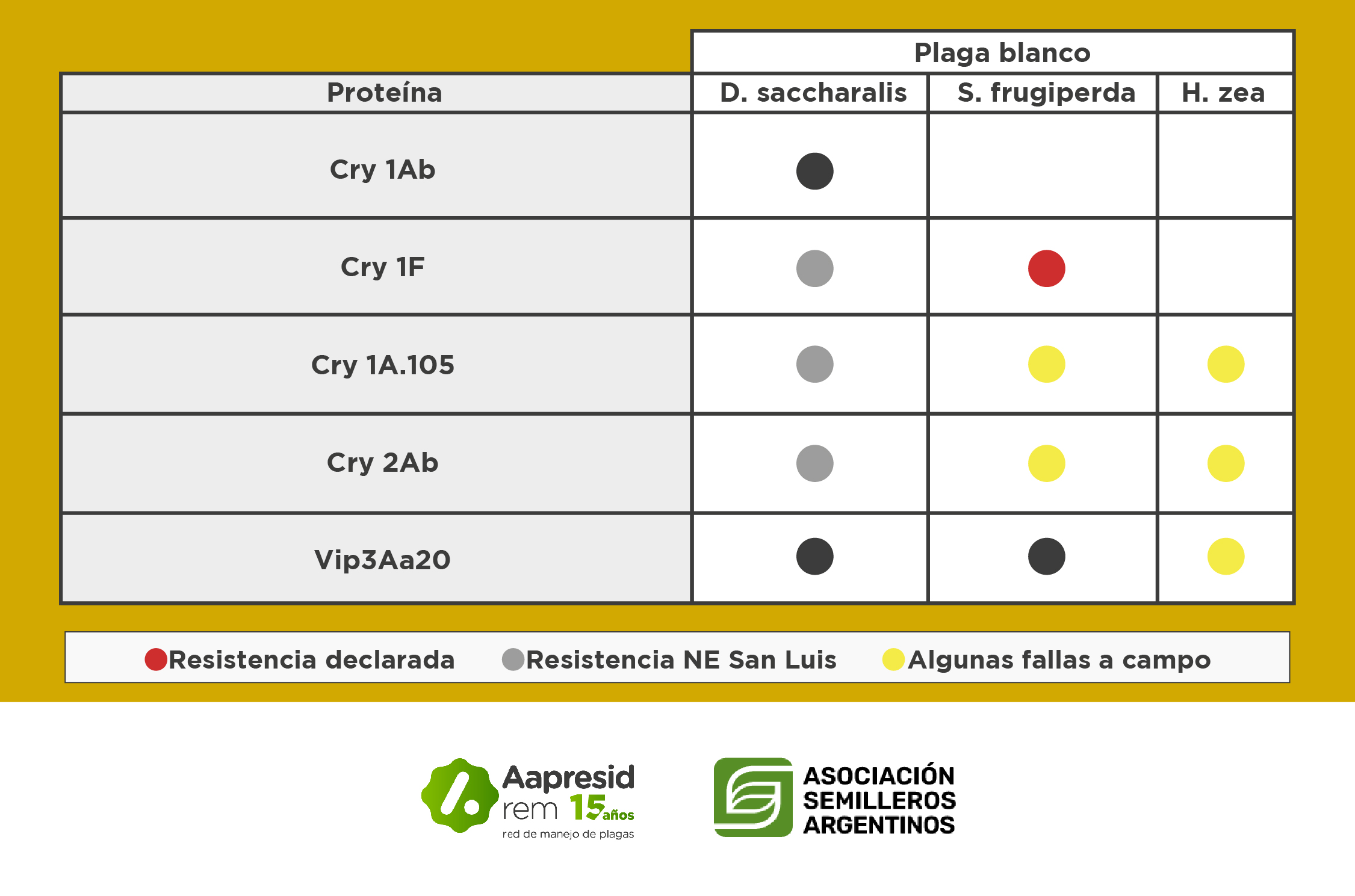 Tabla 1. Proteínas Bt presentes en las principales tecnologías de maíz y su actividad frente a distintas especies de Lepidópteros. Fuente: REM-Aapresid.