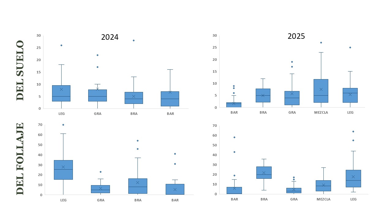 Figura 3. Abundancia de enemigos naturales en los distintos tratamientos de cultivos de servicios evaluados en 2024 y 2025 en Videla, Rafaela y Zavalla (Santa Fe). LEG: leguminosas; GRA: gramíneas; BRA: brassicas o crucíferas; MEZCLA: gramíneas + leguminosas; BAR: barbecho. Tomado de Fernández & Punschke (2026).