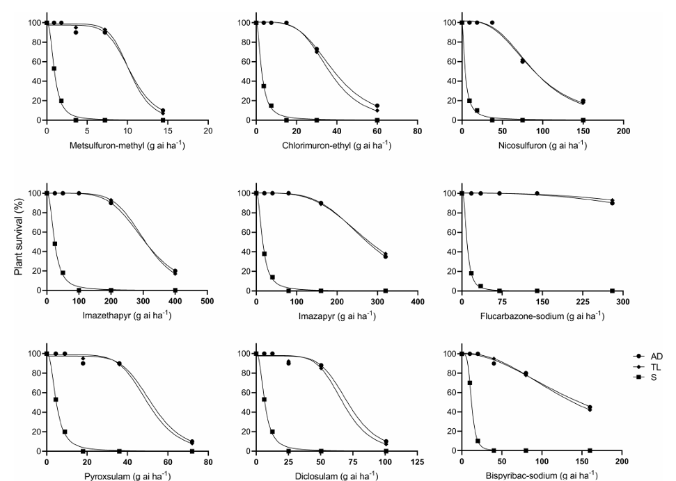 Figura 2. Porcentaje de supervivencia de dos poblaciones de H. incana (AD y TL) y una susceptible (S) frente a dosis crecientes de nueve herbicidas inhibidores de la ALS. Fuente: Yanniccari & Gigón (2026).