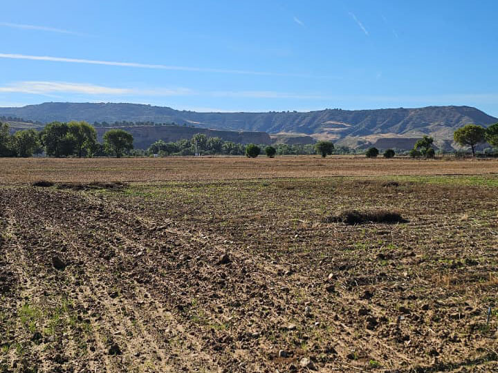 Fig 1. Lote experimental “La Canaleja” perteneciente al INIA-CSIC, en Alcalá de Henares.